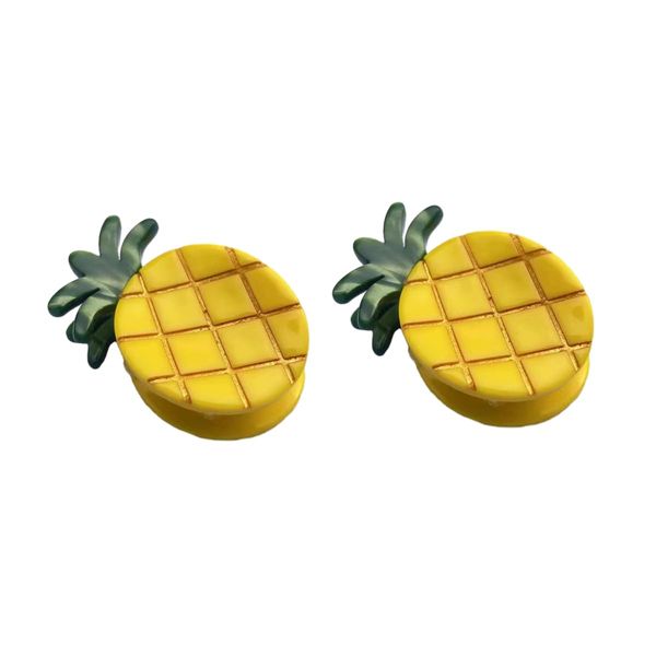 Mini Pineapple Hair Clip,Acetate Claw Clips,Hair Clips for Women,Pack of 2