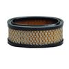 Oregon 30-106 Air Filter Replacement for Briggs & Stratton 393406