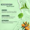Ethically Sourced Tea Tree Body Wash - Soothes Irritation and Controls Odor