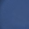 Stargazer Lipstick Electric Blue #105 5.2g