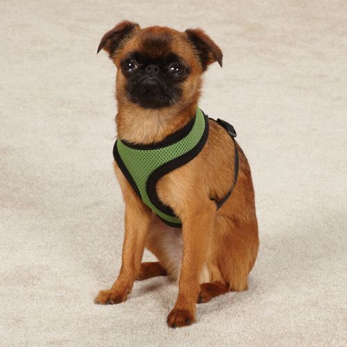 Casual Canine Mesh Dog Harness, X-Small, Green
