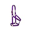 Weaver Leather Basic Non-Adjustable Nylon Horse Halter, Purple, 1" Average Horse