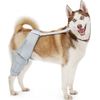 MerryMilo Dog Knee Brace for Torn ACL & Hind Leg Support