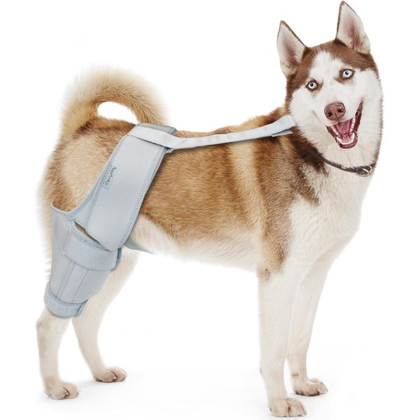 MerryMilo Dog Knee Brace for Torn ACL & Hind Leg Support