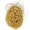 12CM Sea Sponge Unbleached Honeycomb Natural Seasponge for Bath Use, for Baby, or Art use (S Size 10-12 cm)