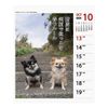 2024 Chihuahua Senryu (Weekly Turning) Calendar No. 027