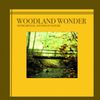 Woodland Wonder