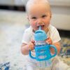 Dr. Brown's Wide-Neck Sippy Straw Bottle with Handles, Blue