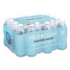 24 Pack True Clear Purified Bottled Water 16.9 Oz Bottle Fresh Refreshing