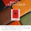 WINGLIDE Smartphone Case iPhone 13 Pro Case, Tochigi Leather, Genuine Leather (Black)