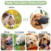 Dog Muzzle Soft Mesh Muzzle for Small Medium Large Dogs, Adjustable Puppy Muzzles for Catching Biting, Licking and Chewing, Allows Panting and Drinking