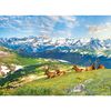 EuroGraphics Mountain Elk