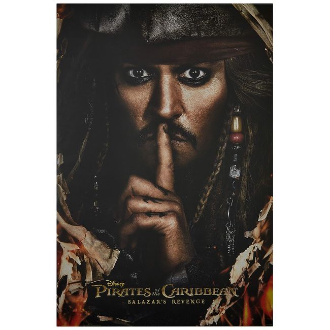 Pirates of the Caribbean: The Last Pirate Secret Poster FF-5196