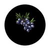 Juniper Berry 8 Bit PopSockets Adhesive PopGrip