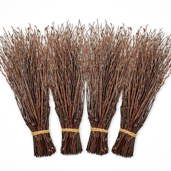 Alater 200pcs Birch Twigs 100% Natural Birch Branches for Decorating, DIY Crafts, Flower Arrangement – Decorative Birch Sticks for Vase, Centerpieces, Halloween Broom, Dried Plants Home Decor (17inch)