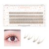 LASHIDOL Partial False Eyelashes, Mazek, Self False Eyelashes, Natural, Popular, DIY False Eyelashes, Easy, 0.4 - 0.5 inches (9 - 12 mm) (Cherry Blossom) (Fishtail Eyelashes, Brown)