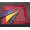 Magic Magic Silk Handkerchief! Designed to look like a regular handkerchief