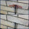 300g Brick Repair Filler (Grey)