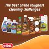 Whink 349944 Rust Stain Remover, 24 Oz