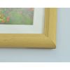 FUJICOLOR YM-3 Series Picture Frame
