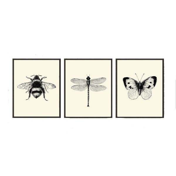 Bee Dragonfly Butterfly Wall Art Prints set of 3 Prints 8x10 - Unframed - Beautiful Black and White Illustration Ivory Natural Background Home Room Decor