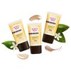 Burt's Bees BB Cream with SPF 15, Light / Medium, 1.7 Oz (Package May Vary)