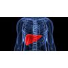 cleanse - LIVER DETOXIFIER FORMULA - kidney cleanse - 60 Capsules