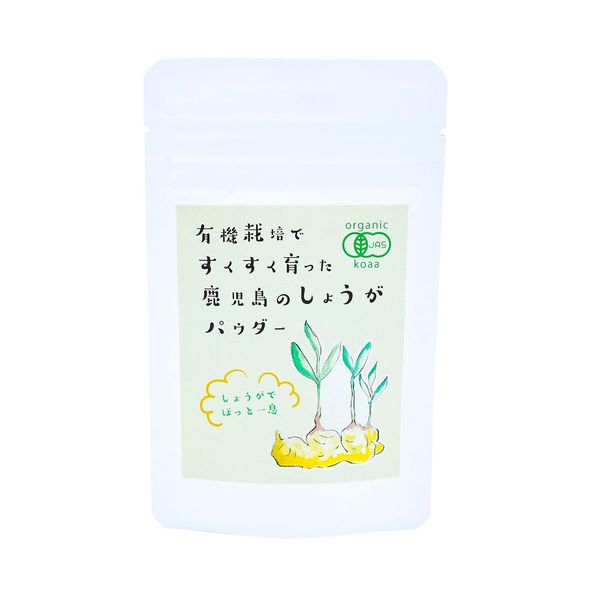 Organic Ginger Powder, 0.7 oz (20 g), Ginger Powder, Made in Kagoshima Prefecture, Made in Japan, Shizenoka Shop