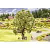 Noch 21765 Tree with House Landscape Modelling