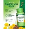 Dandelion Root Capsules 1300mg | 100 Count | Vegetarian | by Nature's Truth