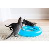 Fat Cat Crazy Circle Interactive Cat Toy
