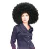 Rubies- Seventies Afro Wig Black