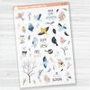Birds and Bloom Journaling Deco Sheet Planner Stickers | Clear Matte | D-367-CM
