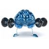 Increase Intelligence Pills - Brain & Memory Support 775mg - Brain Tablets 3B