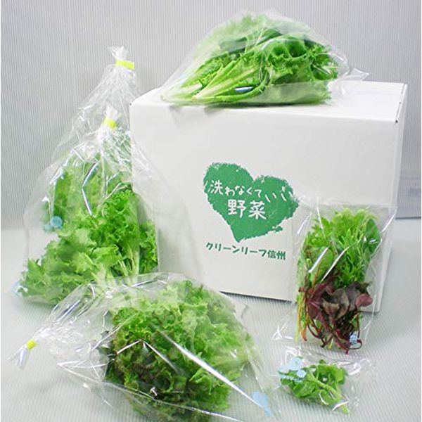 Salad Set M, Leaf Lettuce, Baby Leaf Mix, Pack Included, Safe and Safe Factory Vegetables