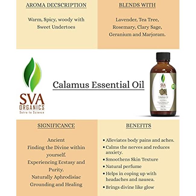 SVA Lavender Essential Oil 4oz (118ml) Premium Essential Oil with Dropper  for Diffuser, Aromatherapy, Hair Care, Scalp Massage & Skin Care