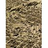 Fort Worth Texas 1891 Historic Panoramic Town Map - 16x24