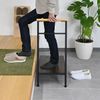 Entrance Stand, Width 23.6 inches (60 cm), Handrail Included, Stepladder, Entryway, Step Compact,