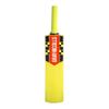 Gray Nicolls Cloud Catcher Light