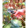 Topzone - 8 inches Scissors Professional Grade bypass pruner with safety lock