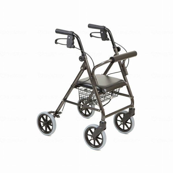 Taketora Happy Mini Tall Walking Frame, Dark Gray Metallic (Cash on delivery not available)