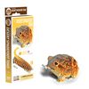 EUGY Desert Spadefoot Toad 3D Model Craft Kit