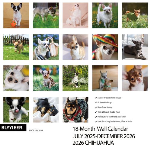 2025-2026 Wall Calendar,Chihuahua Wall Calendar, 12" x 24" Open,Family Planner Calendar Organizer with Chihuahua Images, for Dogs Lovers