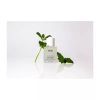 OUAI Scalp Serum 60ml