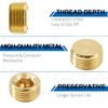 LifCratms 1/4" NPT Male Plug, Brass Internal Hex Thread Pipe Plug, Hex Countersunk Head Socket Pipe Fitting Kit (Pack of 12)