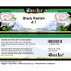 Black Radish 4:1 Cream (2 oz, ZIN: 521253)