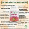 Garcinia Cambogia Capsule