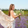 Set Relax Organic Essential Oils - Lavender | Chamomile | Yarrow