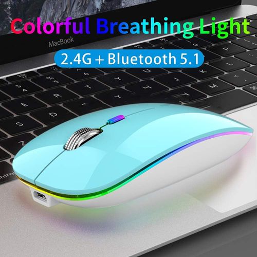 TENMOS Wireless Bluetooth Mouse, LED Slim (BT 5.1 + USB) 2.4GHz Rechargeable Silent Bluetooth Wireless Mouse with Type C Adapter for Laptop/MacBook/iPad OS 13 and Above (Blue)