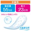 Poise Skin Care Pad for Medium Weight (Light Light), 1.9 fl oz (55 cc), Value 42 Sheets (For Women Light Urinary Spills)